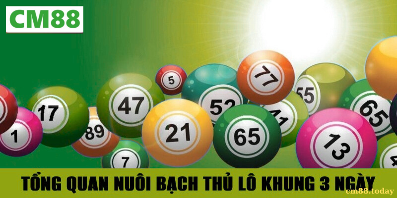 Hiểu đúng về Nuôi bạch thủ lô khung 3 ngày