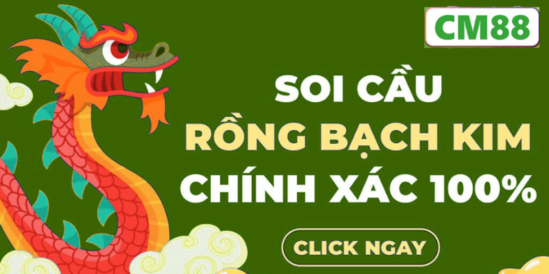 Phân tích rồng bạch kim miền Bắc – Trung – Nam
